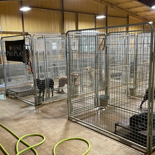 The interior of the kennel facility